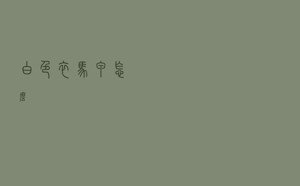 白色衣马甲怎么