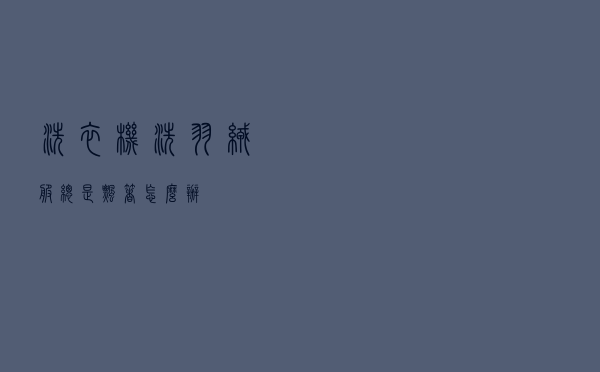 洗衣机洗羽绒服总是飘着怎么办