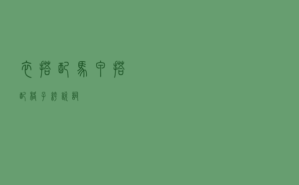 衣搭配马甲搭配格子裤说词