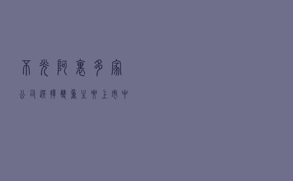 不光阿里多家公司选择双重主要上市，中概股回归有模板了？