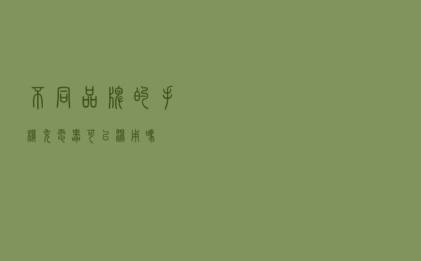 不同品牌的手机充电器可以混用吗？