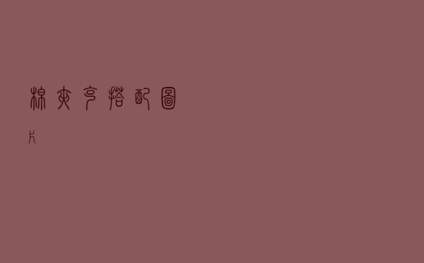 棉夹克搭配图片