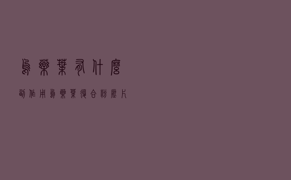 乌药叶有什么副作用（乌药叶复合粉压片糖果）