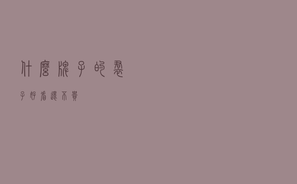 什么牌子的裙子好看还不贵