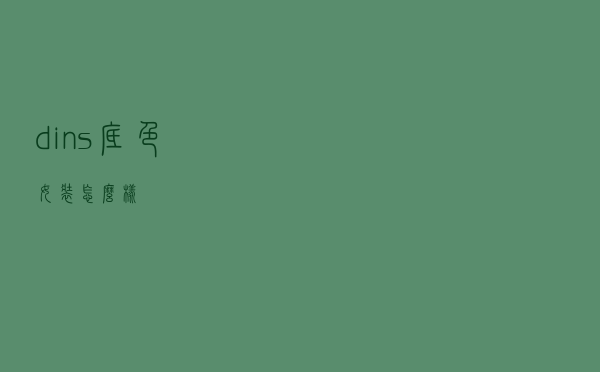 dins底色女装怎么样