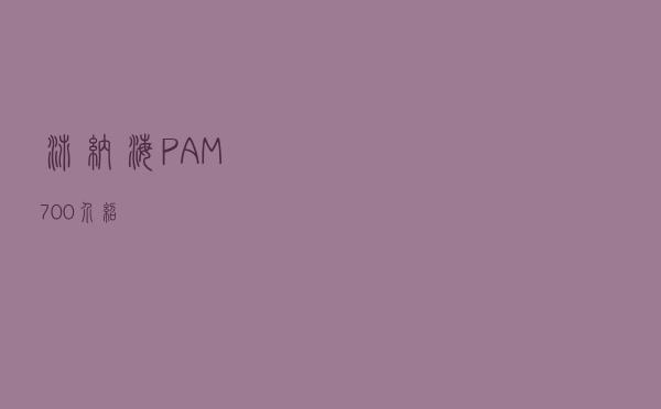 沛纳海PAM700 介绍