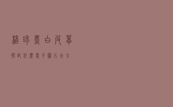 棒球黑白皮草搭配什么裙子图片大全