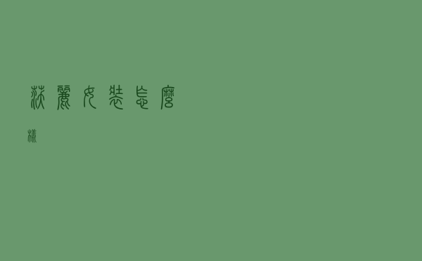 沃丽女装怎么样