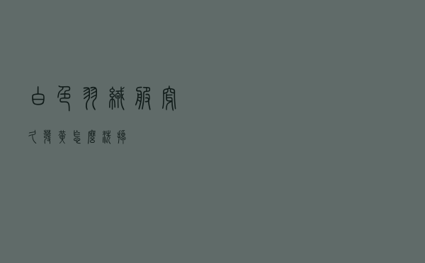 白色羽绒服穿久发黄怎么洗掉