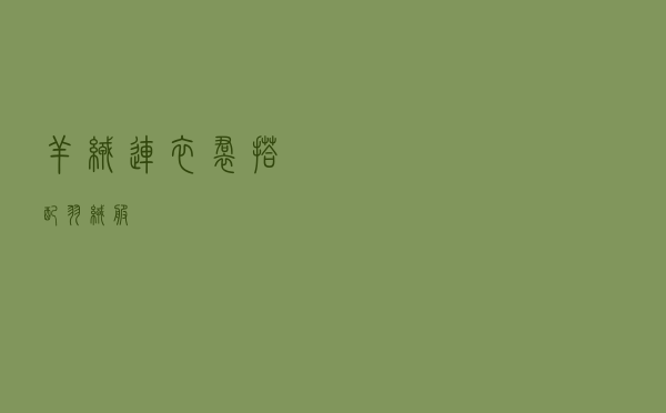 羊绒连衣裙搭配羽绒服