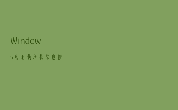 Windows未正确加载怎么办？