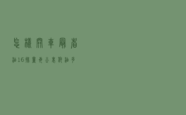 怎样开车最省油，1.6排量，每公里耗油多少才正常