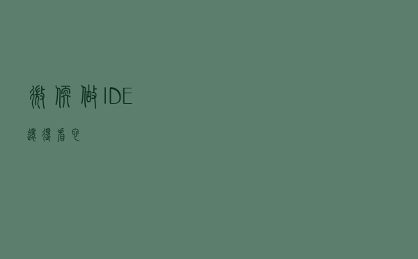 微软，做IDE还得看它
