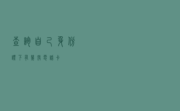 查询自己身份证下有几张电话卡