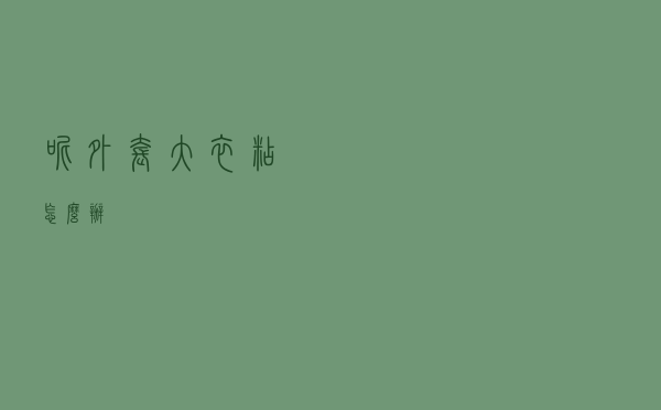 呢外套大衣粘怎么办