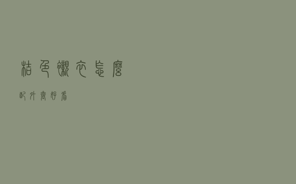 桔色衬衣怎么配外套好看
