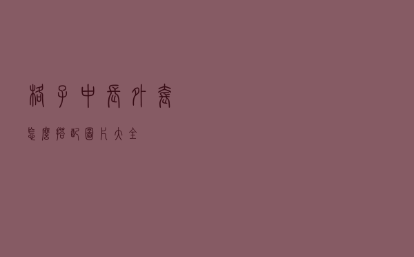 格子中长外套怎么搭配图片大全
