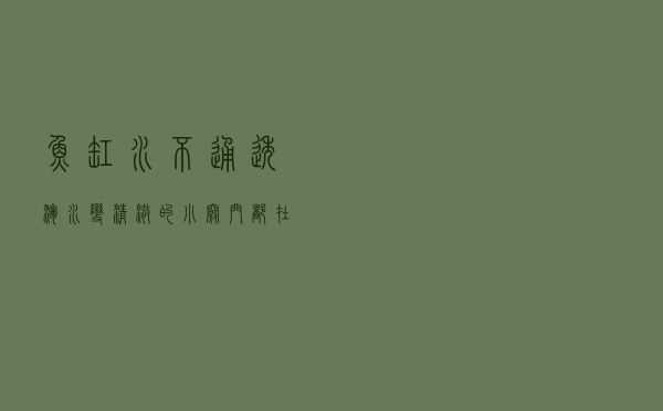 鱼缸水不通透，浑水变清澈的小窍门，都在这了