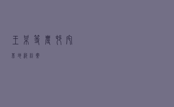 王某等农村宅基地纠纷案
