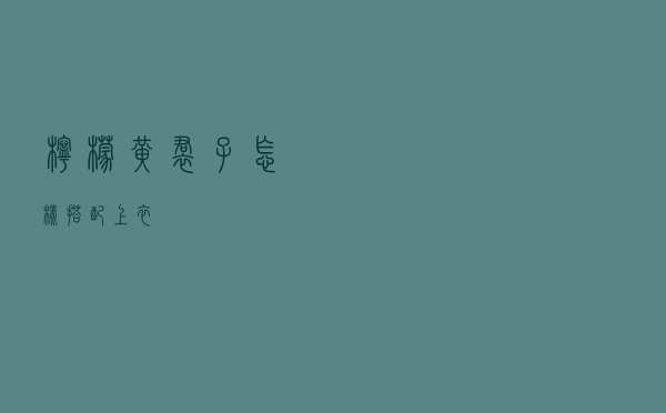 柠檬黄裙子怎样搭配上衣