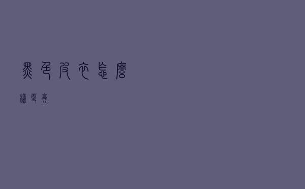 黑色皮衣怎么样更亮