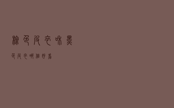 棕色皮衣和黑色皮衣哪个好看