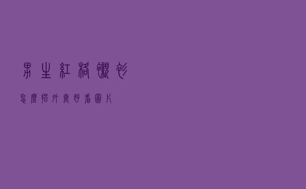 男生红格衬衫怎么搭外套好看图片