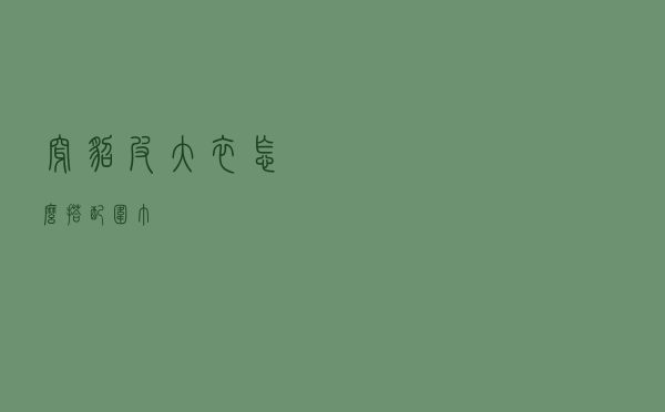 穿貂皮大衣怎么搭配围巾