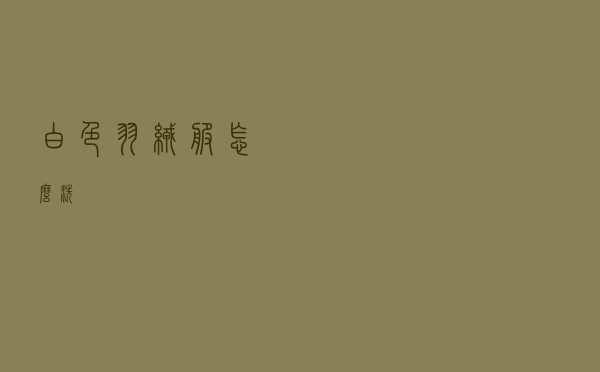 白色羽绒服怎么洗