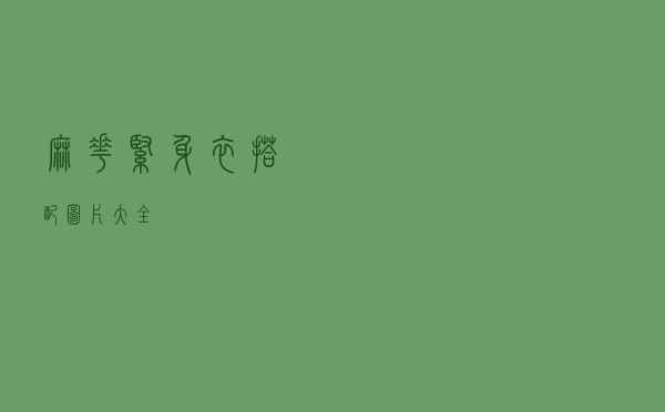 麻花紧身衣搭配图片大全