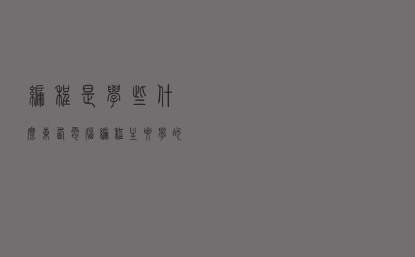 编程是学些什么东西「电脑编程主要学的是些什么」