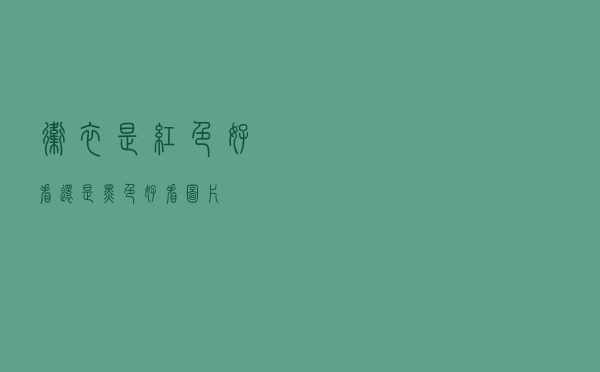 卫衣是红色好看还是黑色好看图片