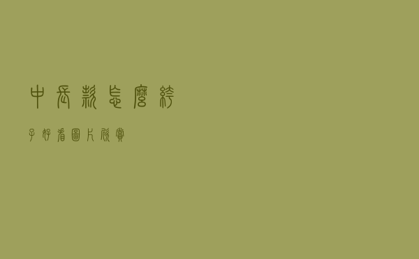 中长款怎么裤子好看图片欣赏