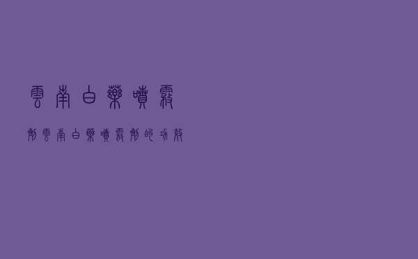 云南白药喷雾剂（云南白药喷雾剂的功效）