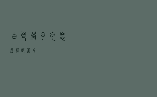 白色格子衣怎么搭配图片