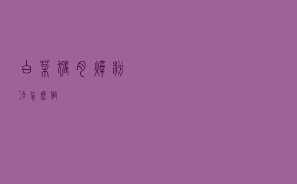 白菜猪肉炖粉条怎么做？