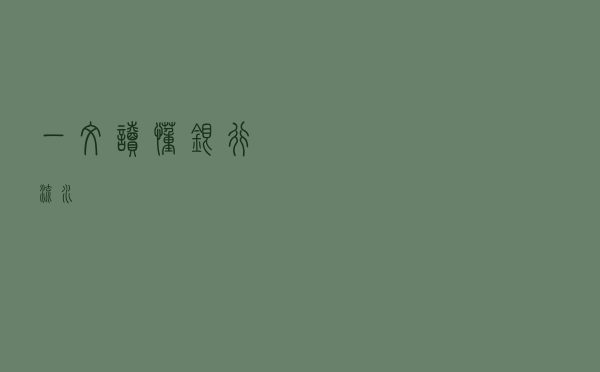 一文读懂银行流水