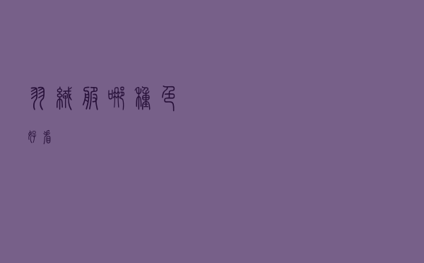 羽绒服哪种色好看