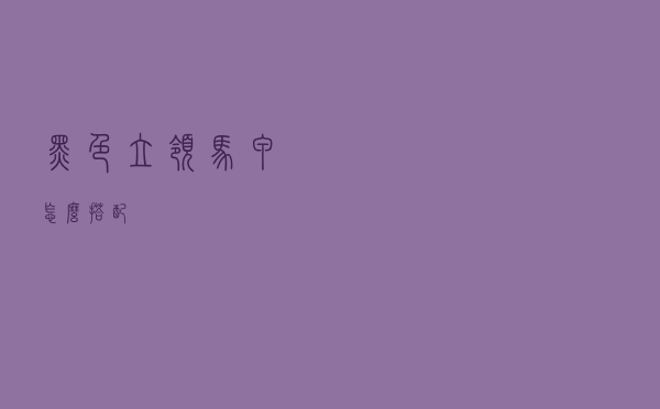 黑色立领马甲怎么搭配