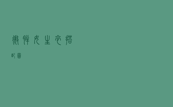 微胖女生衣搭配图