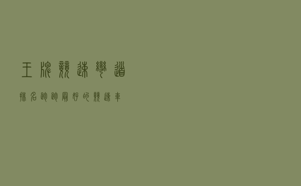 王牌竞速弯道排名（跑跑最好的竞速车）