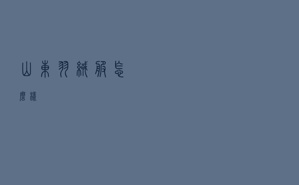 山东羽绒服怎么样