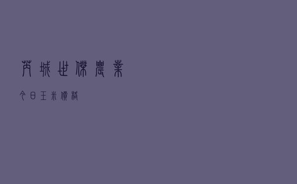 芮城世杰农业今日玉米价格