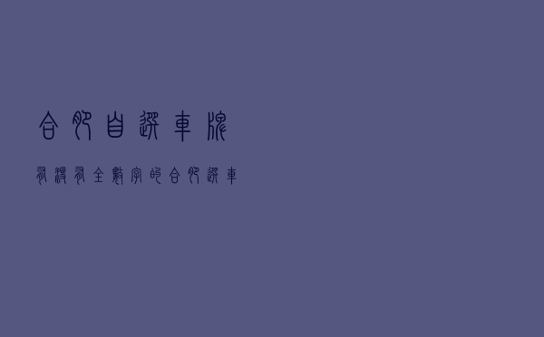 合肥自选车牌有没有全数字的（合肥选车牌有哪些规定）