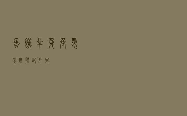 蛋糕半身长裙怎么搭配外套