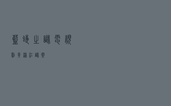 蓝蝶之谜 电视剧，黄浦江谜案