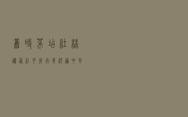 旧时茅店社林边「西江月夜行黄沙道中 辛弃疾」
