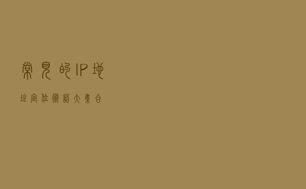 常见的IP地址定位术语大集合