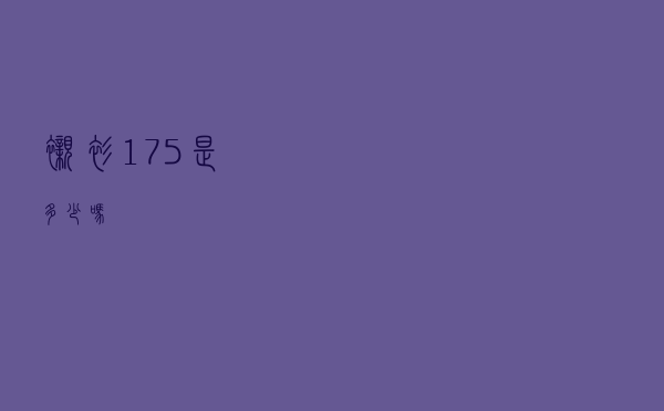 衬衫175是多少吗