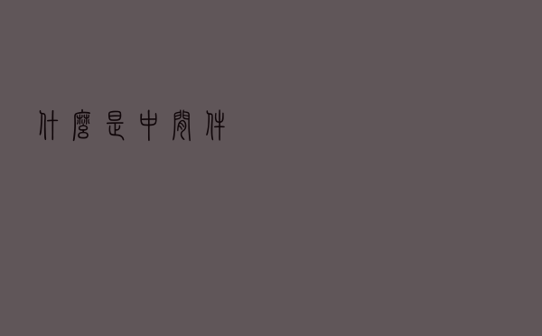 什么是中间件？